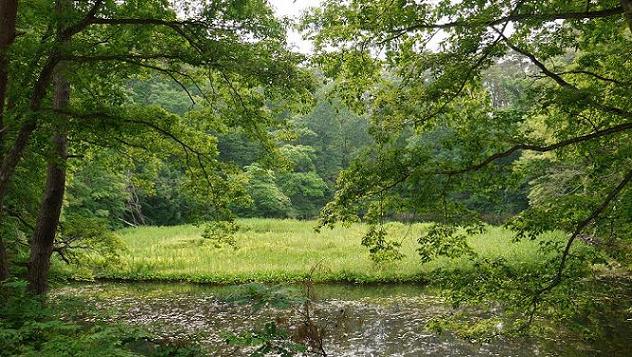 蓋沼森林公園