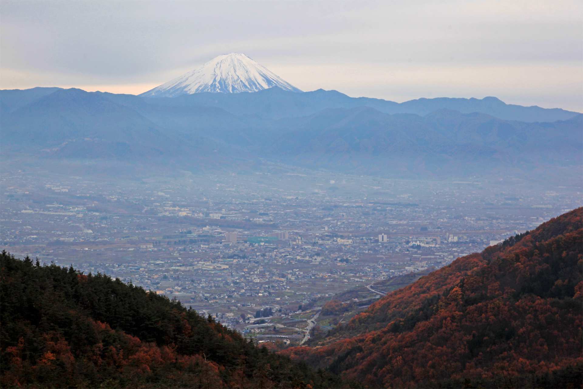 ほったらかしキャンプ場