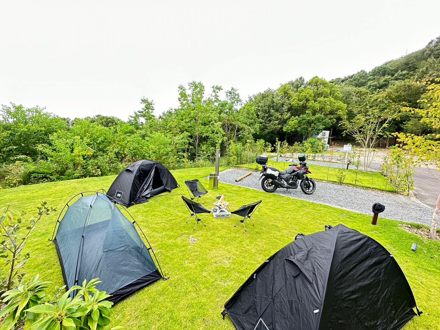 新稲の森キャンプ場