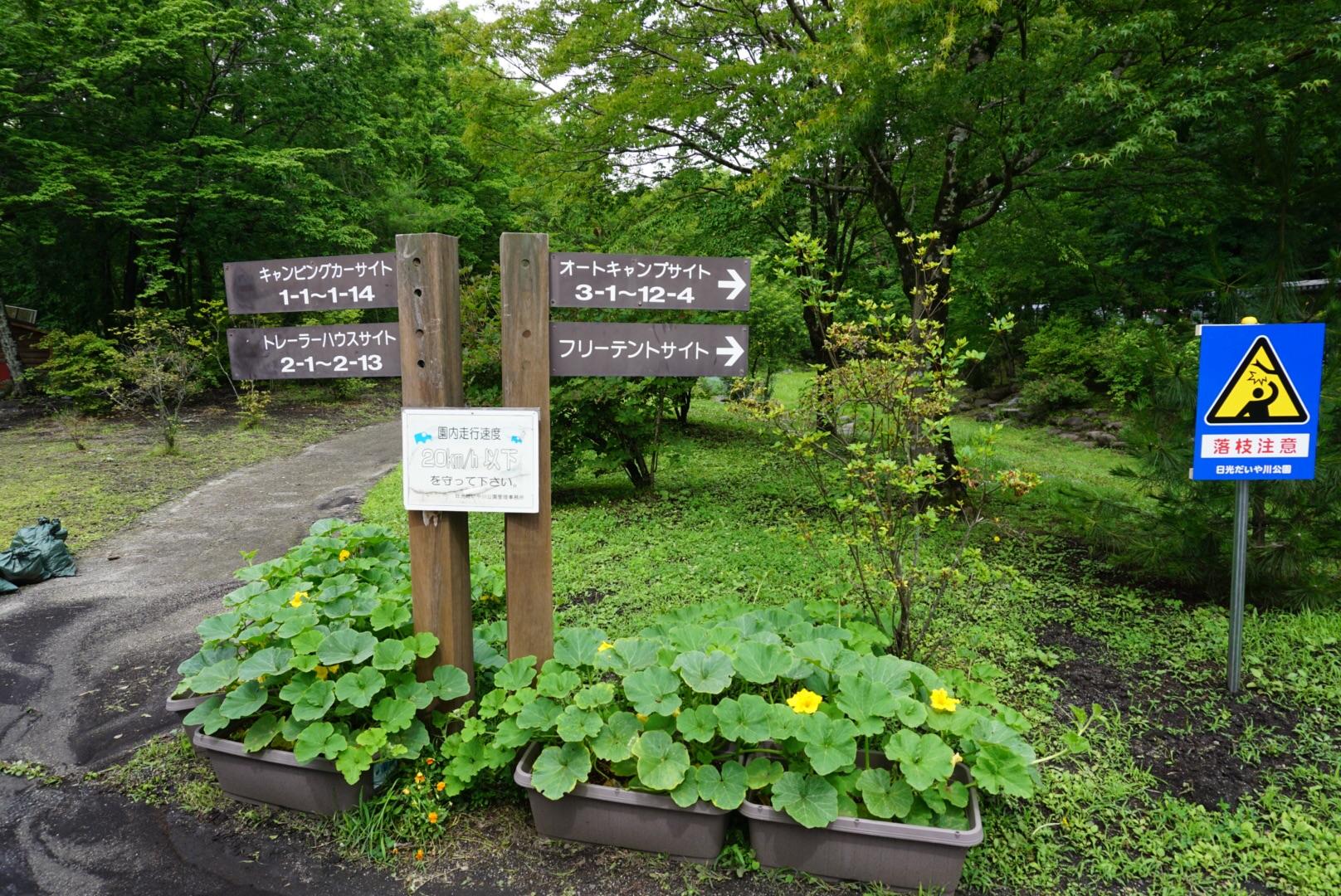 日光だいや川公園オートキャンプ場