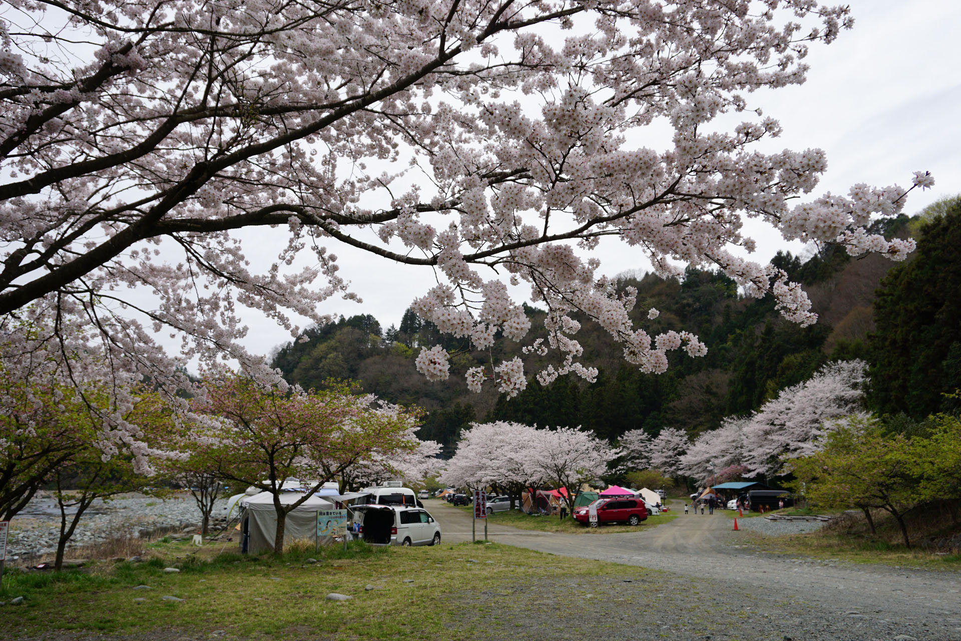 青野原オートキャンプ場