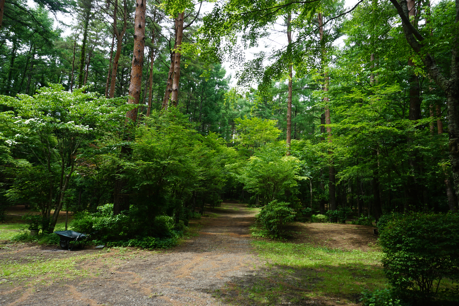 河口湖オートキャンプ場