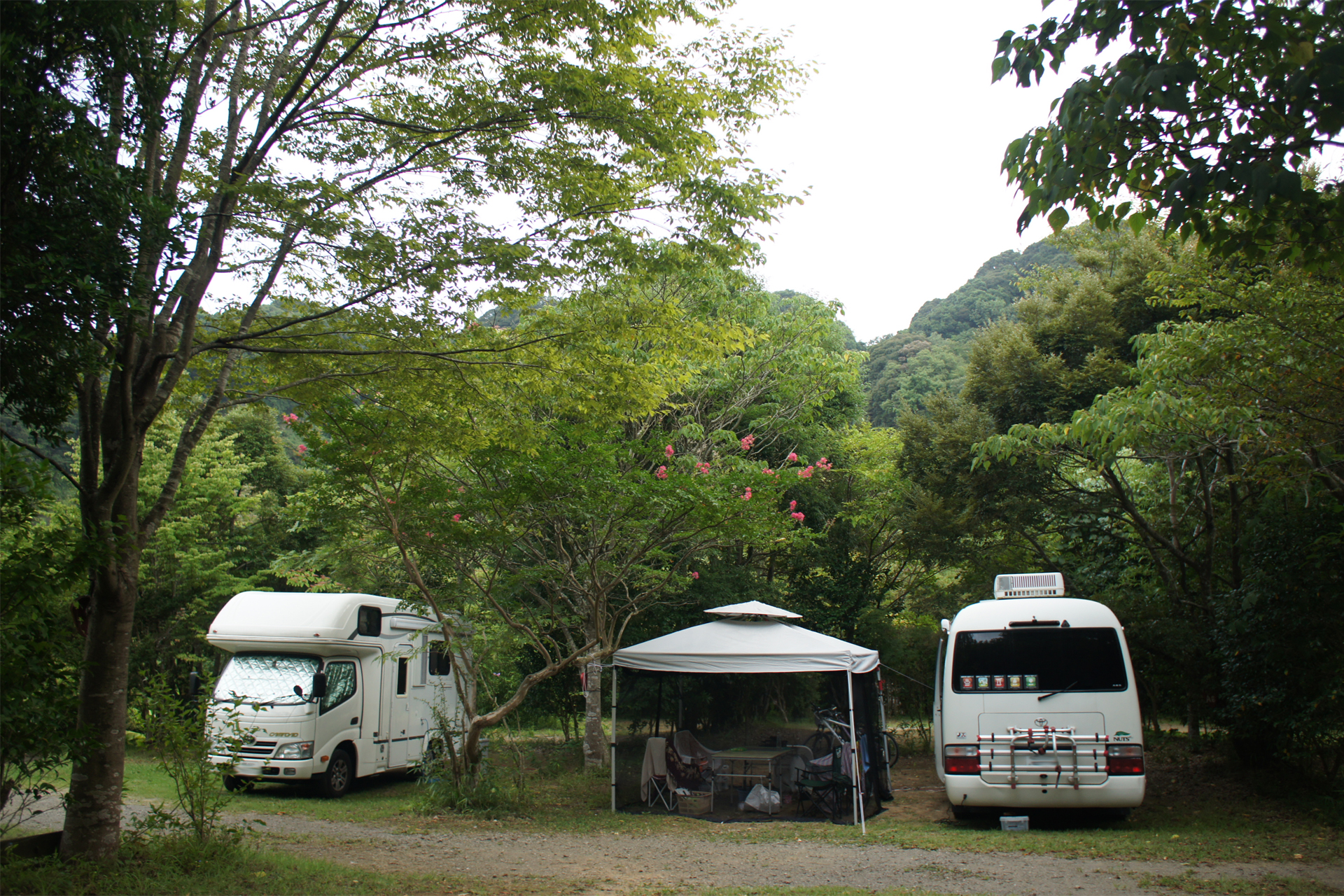 オートキャンプ・フルーツ村