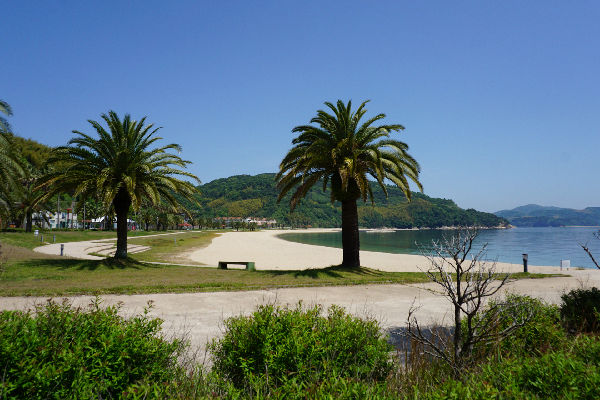 片添ヶ浜海浜公園オートキャンプ場