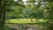 蓋沼森林公園